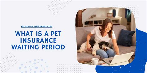 24 hour pet watch pet insurance waiting period|24 hour pet watch insurance phone number.